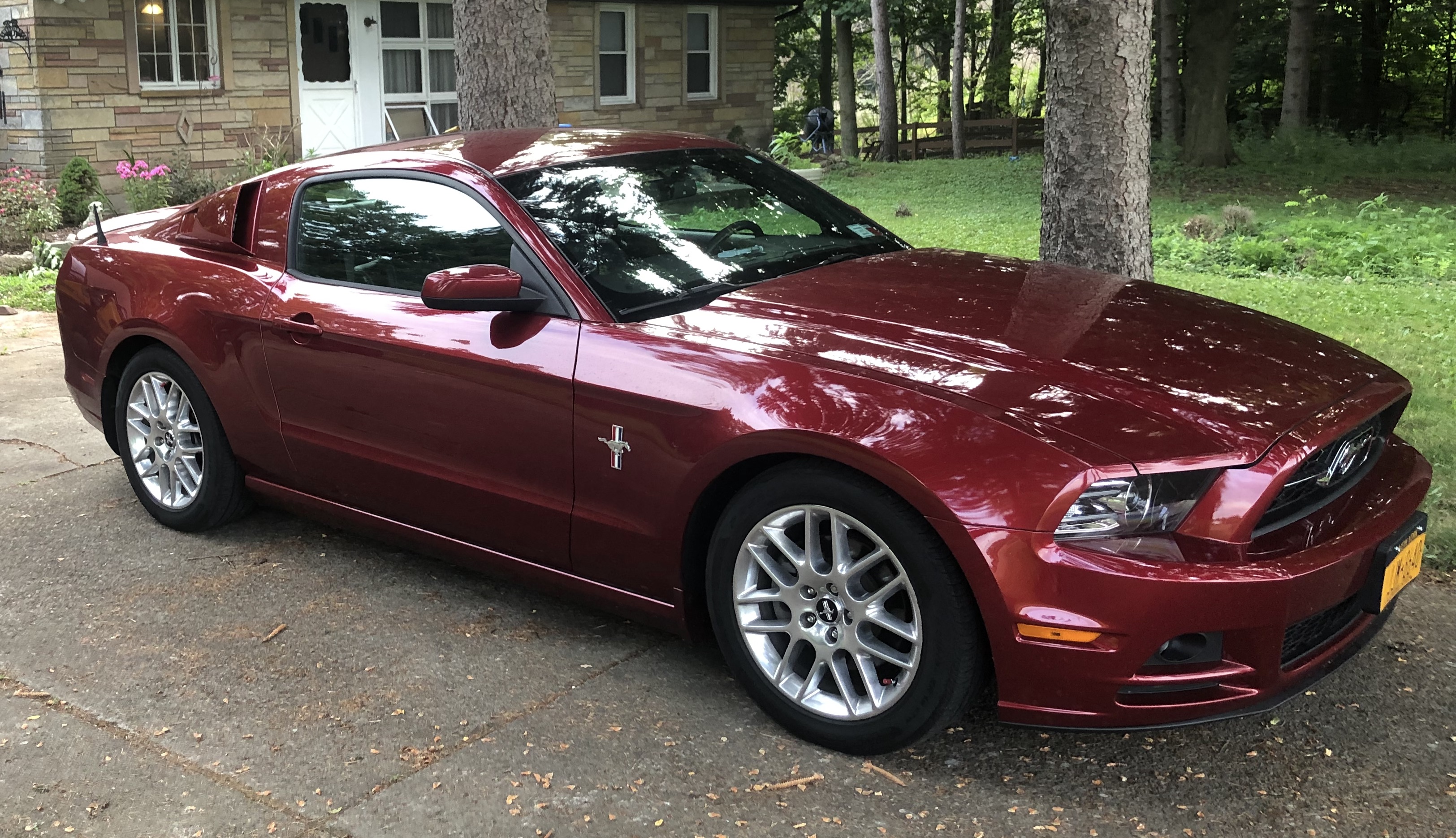 2014 stang no louvers..jpg