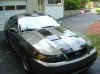 mikes-stripes-waxed3.jpg