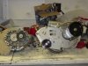 DSC00458.JPG