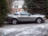 Mustang 1.jpg