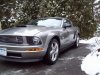 Mustang 5.JPG