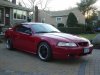 my stang2.jpg
