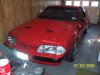 MUSTANG22 033.JPG