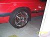 MUSTANG22 040.JPG