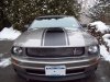 Mustang 4.JPG