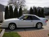 new pics mustang 4  09 001.jpg