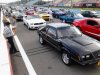 The whole pack at the track.jpg