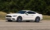 mustang50thedition-34-hr-1.jpg