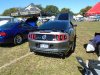 DSC00231MA31567512-0083.JPG