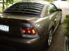6-3-2008 Mustang GT 015.jpg