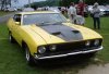 Kingston_Show_Aussy_Falcon.jpg