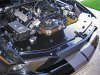 GT500 Radiator Cover 2 .jpg