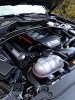 IMG_0024.JPG
