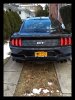 IMG_0008.JPG
