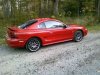 Stang!