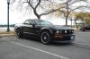 mustang
