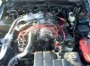 Rousch Supercharged 98 Mustang GT