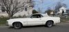 Cougar Ragtop