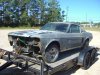 Fastback (36).JPG