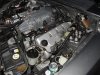 SDC13398.JPG
