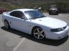 tint2.jpg