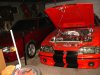 feb 2010 021.jpg