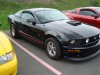 DSC00576.JPG
