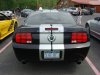 DSC00594.JPG