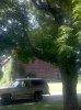 Picture 004.jpg