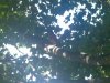 Picture 011.jpg