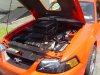 car7.jpg