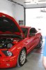 Shelby on Dyno.jpg