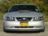 DSC08421.jpg