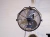 100_2356.JPG