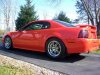 Mustang- 2010-2.jpg