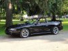 Cobra 8.jpg