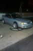 the stang.jpg
