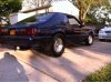 mustang back.jpg
