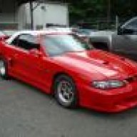 The Mustang Man