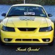 stang2