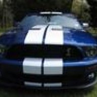 08ShelbyGT500