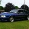 Mustang Mike