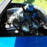 flyinfoxbody