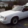 1984 mustang gt-350