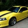01zincyellowSVT
