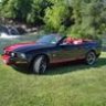 Wildstang