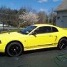 2001stang