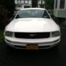 Bellastang2421