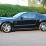 Mustang50
