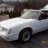1984 mustang gt-350